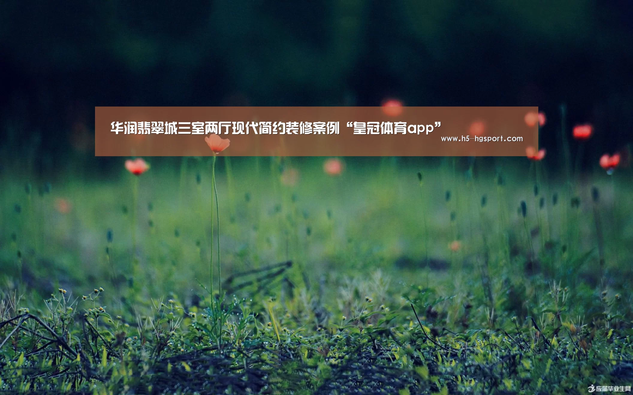 皇冠体育app