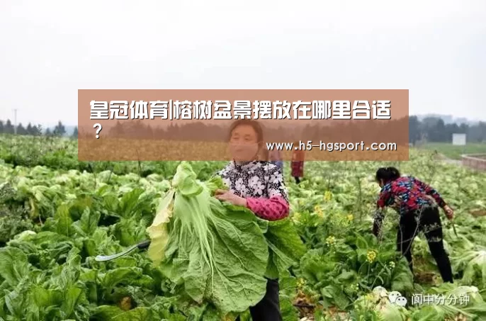 皇冠体育app