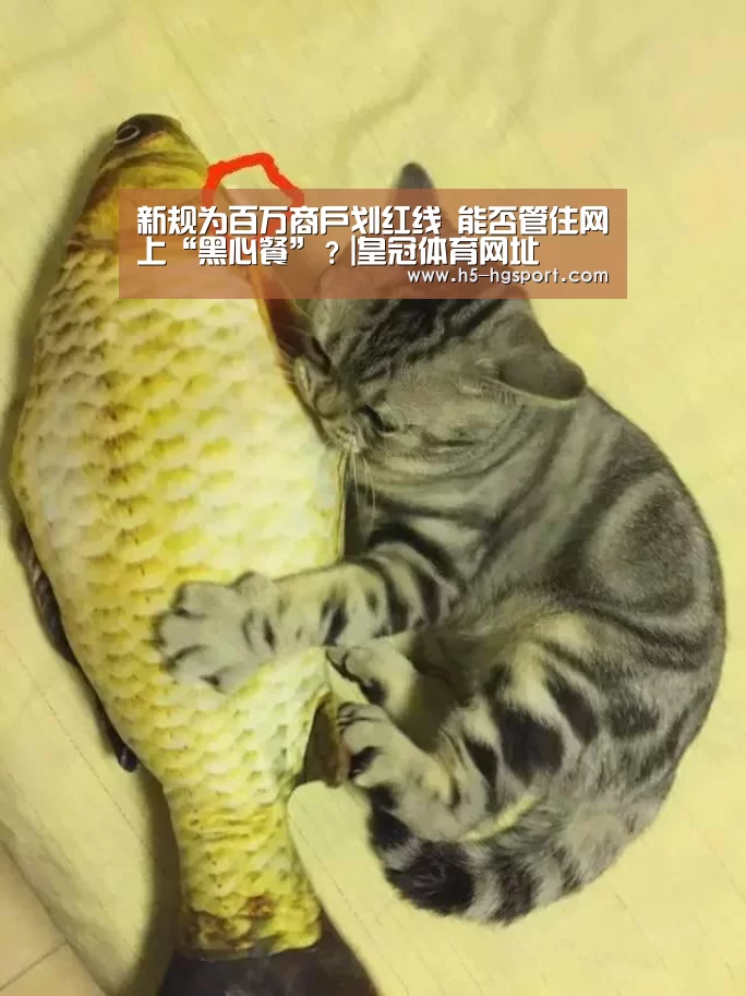 新规为百万商户划红线 能否管住网上“黑心餐”?|皇冠体育网址(图3) 皇冠体育网址