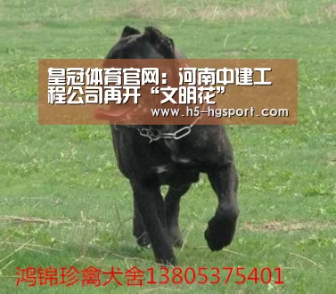 皇冠体育官网:河南中建工程公司再开“文明花”(图1) 皇冠体育